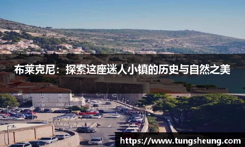 篮球直播网站